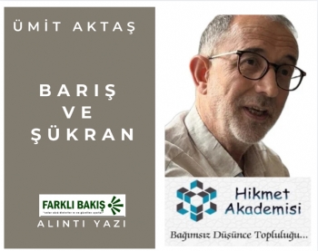 Bar ve kran