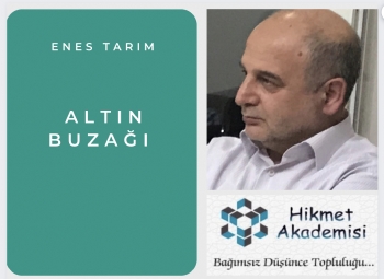 ALTIN BUZAI