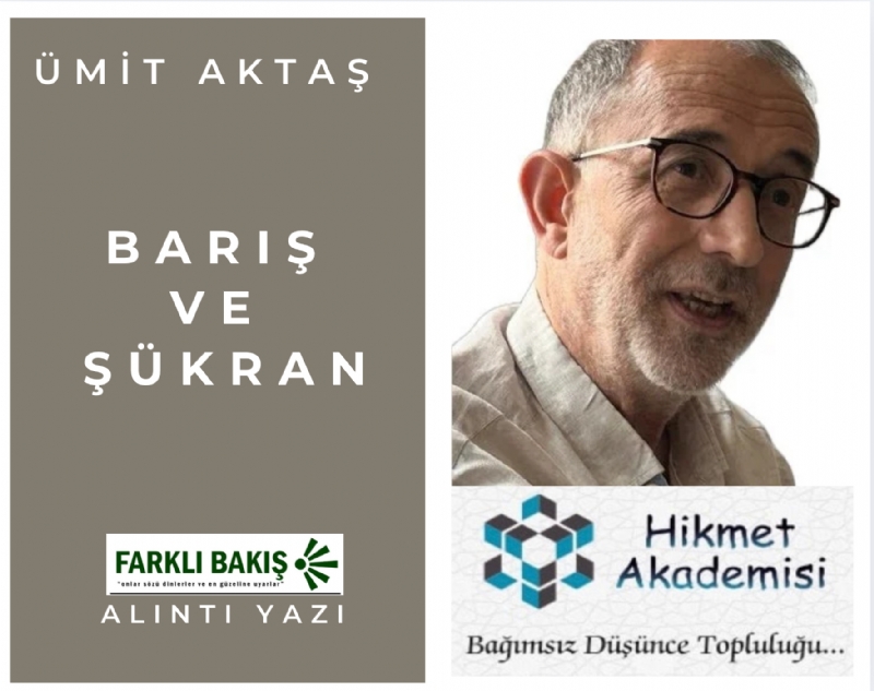 Bar ve kran