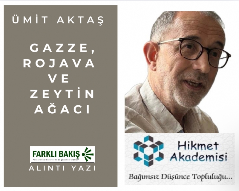 Gazze, Rojava ve Zeytin Ağacı